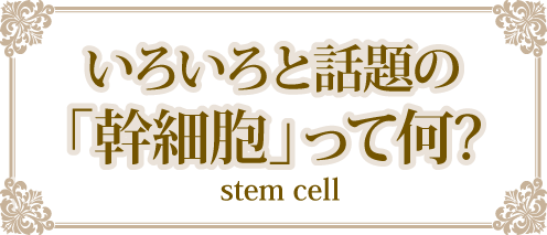 いろいろと話題の「幹細胞」って何?